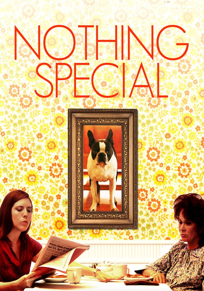Nothing Special