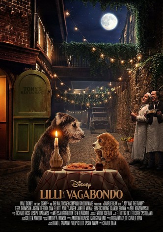 Lilli e il vagabondo