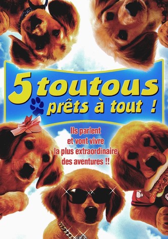 5 toutous prêts à tout