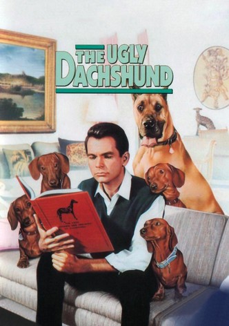 The Ugly Dachshund