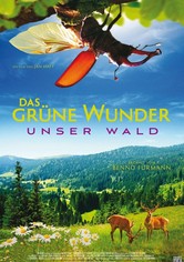 Das grüne Wunder - Unser Wald