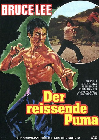 Bruce Lee - Der reißende Puma