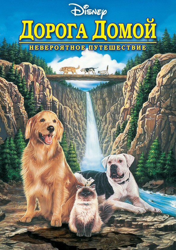 Дорога Домой: Невероятное Путешествие - Онлайн