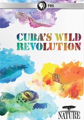 Cuba's Wild Revolution