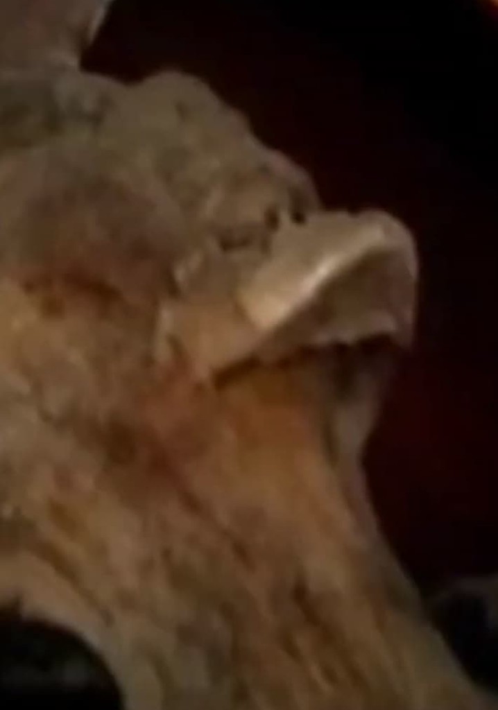 Under Cemetery 2: Guanajuato