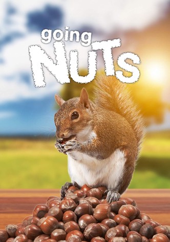 Going Nuts: Tales from the Squirrel World