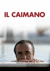 Il caimano