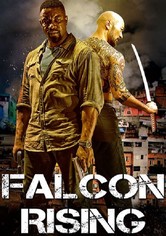 Falcon Rising