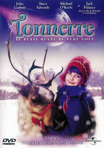 Tonnerre, le petit renne du père Noël