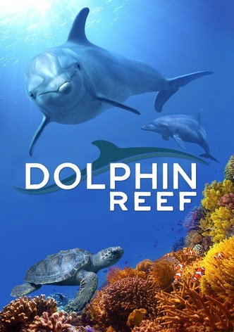 Dolphin Reef