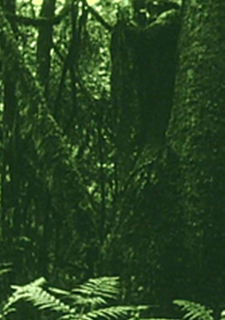 The Eyes in the Woods and the Taste in the Water