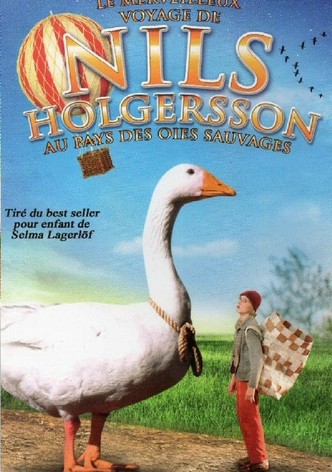 Nils Holgerssons wunderbare Reise