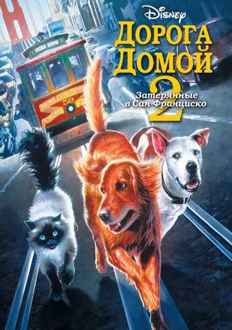 Дорога домой 2: Затерянные в Сан-Франциско