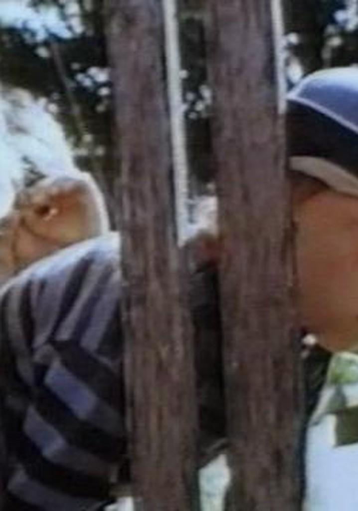 Pa balta furgona pedam