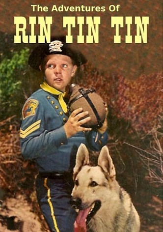 The Adventures of Rin Tin Tin
