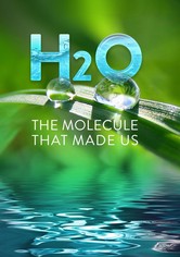 H2O: The Molecule that Made Us