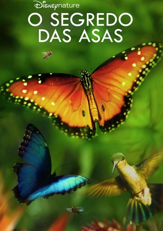 Disneynature’s Wings of Life