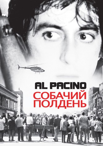 Собачий полдень