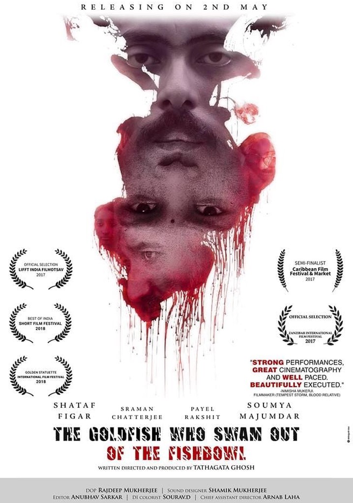 The Goldfish Who Swam Out of the Fish