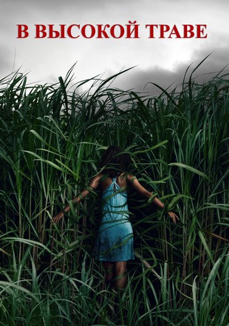 В высокой траве