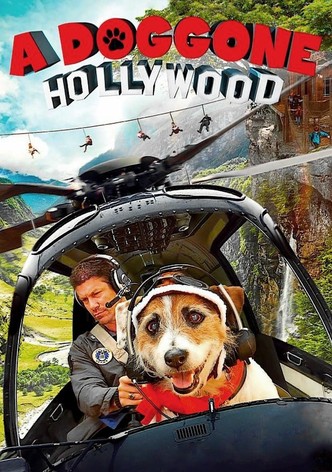 A Doggone Hollywood