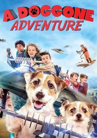 A Doggone Adventure