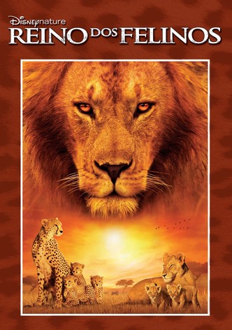 Reino dos Felinos