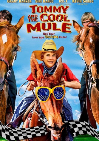 Tommy and the Cool Mule
