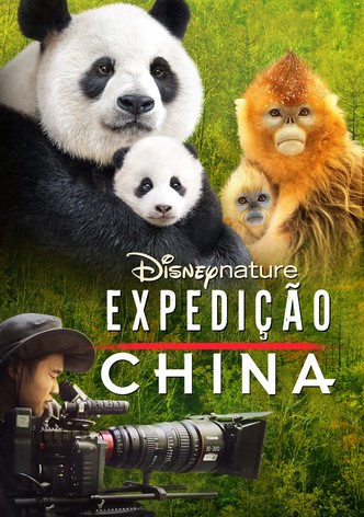 Expedição China