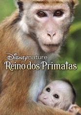 O Reino dos Primatas
