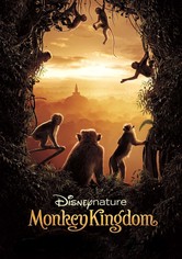 Monkey Kingdom