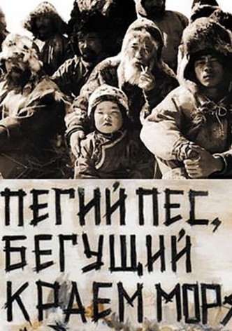 Пегий пес, бегущий краем моря