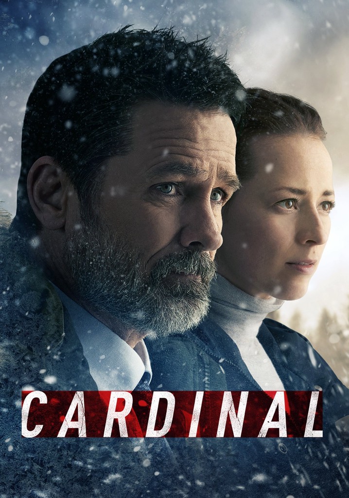 How To Watch Cardinal Season 4 In Us