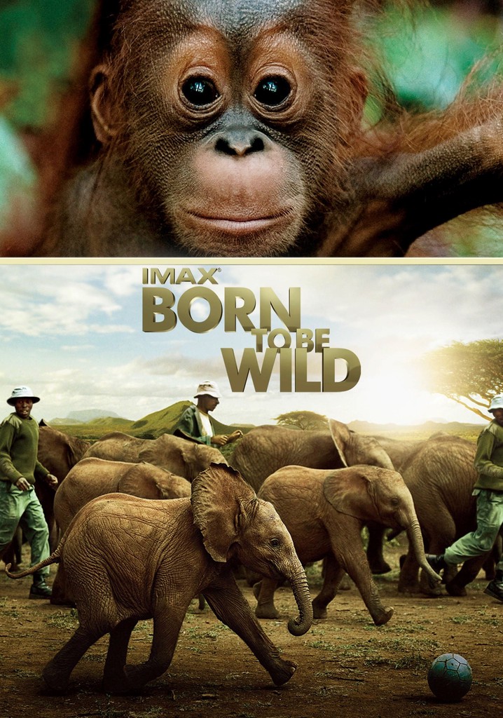 Born to be deals wild netflix