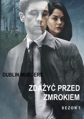 Zdążyć przed zmrokiem