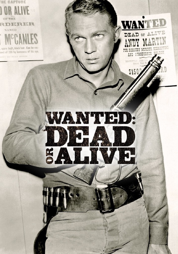 Dead or Alive - streaming tv show online