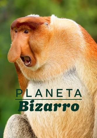 Planeta Bizarro