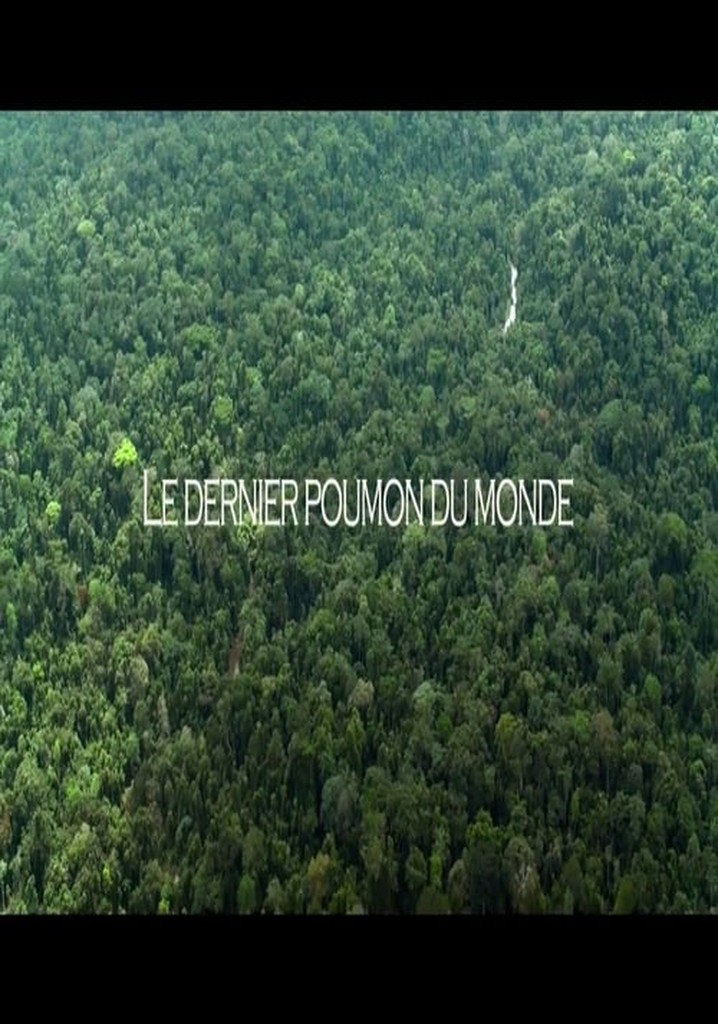 Le dernier poumon du monde