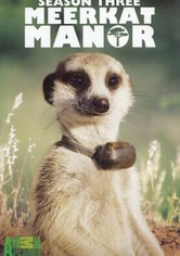 Meerkat Manor - Season 3