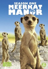 Meerkat Manor - Temporada 1