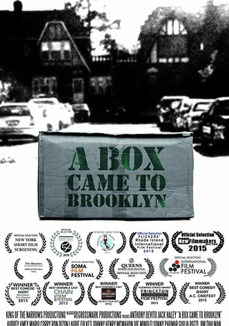 A Box Came to Brooklyn