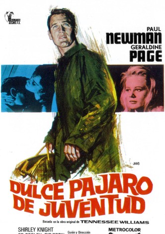 Dulce pájaro de juventud
