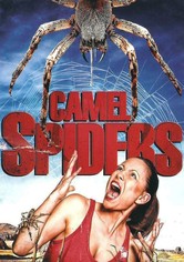 Camel Spiders - Angriff der Monsterspinnen