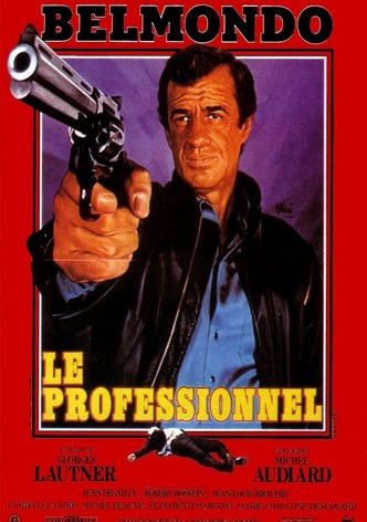 Le Professionnel