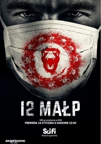 12 małp