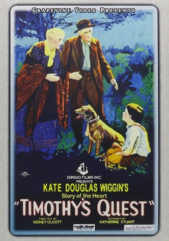 Timothy's Quest
