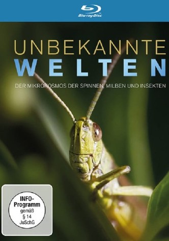 Reiterhof Wildenstein - Teil 2 - Kampf um Jacomo.
