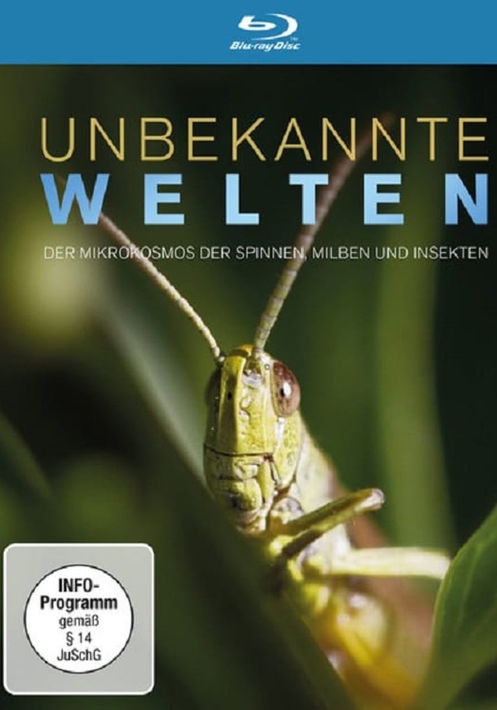 Reiterhof Wildenstein - Teil 2 - Kampf um Jacomo.
