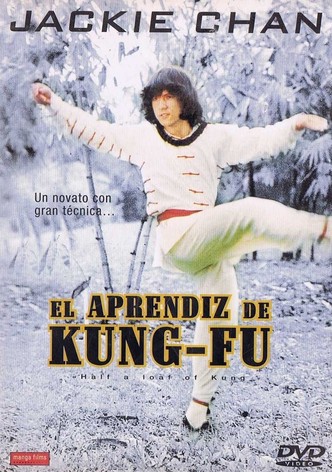 El aprendiz de Kung Fu