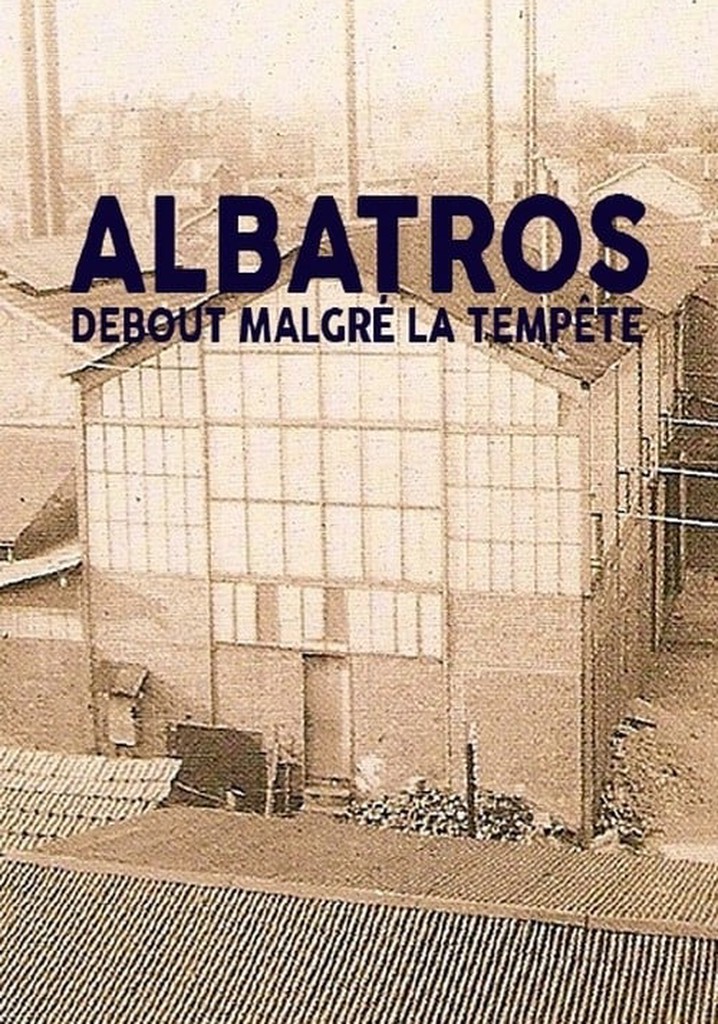 Albatros, debout malgré la tempête
